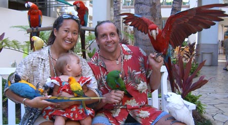 See BirdGuyHawaii.com